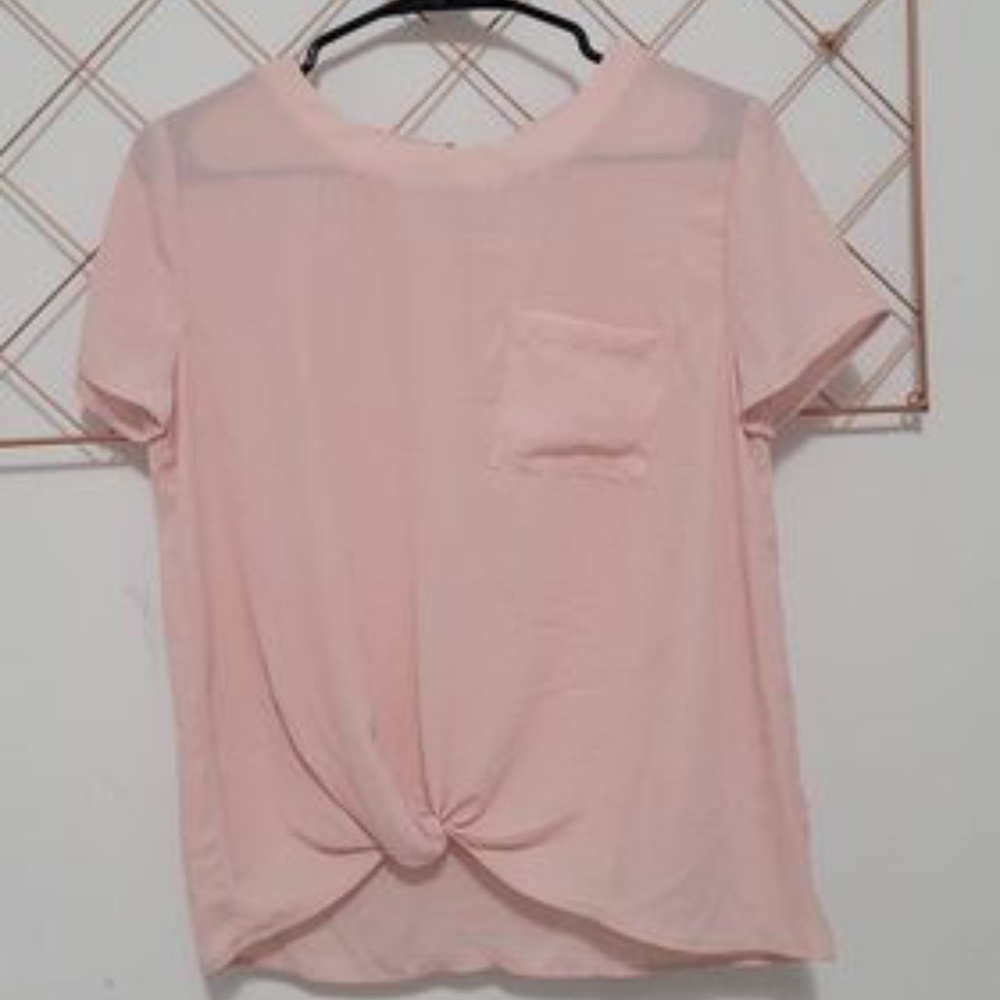 Chiffon Pink Crop Top
